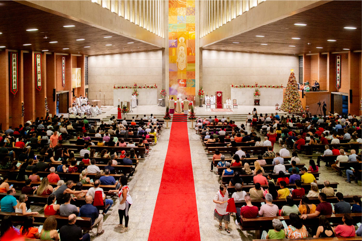 natal6